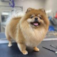 Фото работ Александра