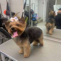 Фото работ Анна К.