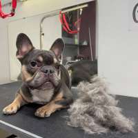 Фото работ Валерия