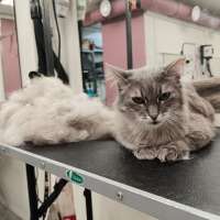 Фото работ Елена И.