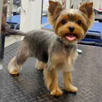 Фото работ Анна