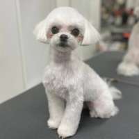 Фото работ Ирина С.