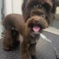 Фото работ Анна