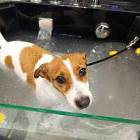 Фото работ Эльза