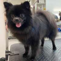 Фото работ Анна