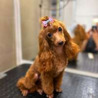 Фото работ Анна Р