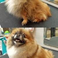 Фото работ Александра