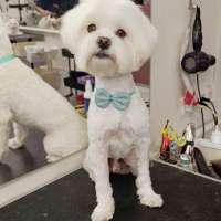 Фото работ Елена И.