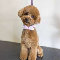 Фото работ Ирина С.