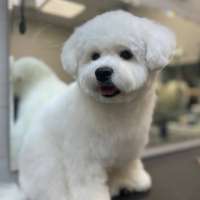 Фото работ Александра