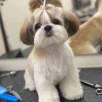 Фото работ Полина