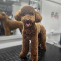 Фото работ Светлана