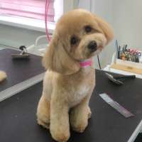 Фото работ Елизавета