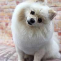 Фото работ Наталья