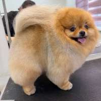 Фото работ Елизавета