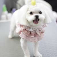 Фото работ Анна К.