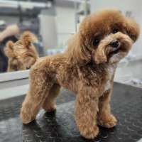 Фото работ Светлана