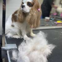 Фото работ Александра