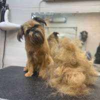 Фото работ Александра