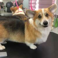 Фото работ Елизавета