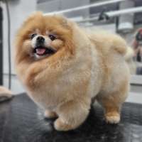 Фото работ Светлана