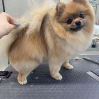 Фото работ Наталья