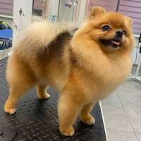 Фото работ Анна