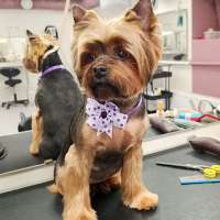 Фото работ Елена И.