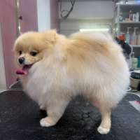 Фото работ Валерия