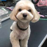 Фото работ Ольга Л