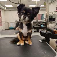 Фото работ Елена И.