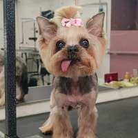 Фото работ Елена И.