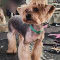 Фото работ Елизавета