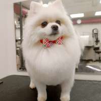 Фото работ Елена И.