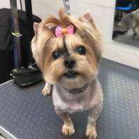 Фото работ Ольга Л