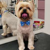 Фото работ Елена И.