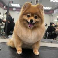 Фото работ Олеся С