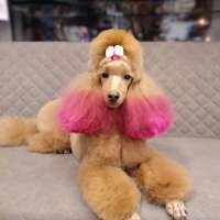 Фото работ Светлана