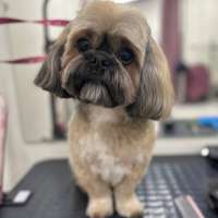 Фото работ Полина