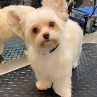 Фото работ Анна