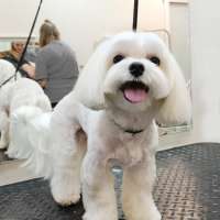 Фото работ Елена