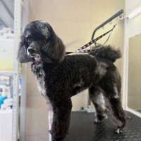 Фото работ Анна Р