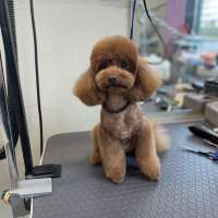 Фото работ Наталья