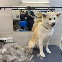 Фото работ Анна К.