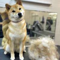 Фото работ Александра