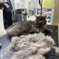 Фото работ Анна Р