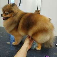 Фото работ Елена