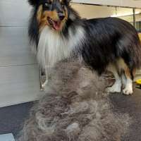 Фото работ Александра