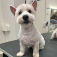 Фото работ Ирина С.