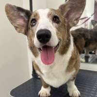 Фото работ Полина